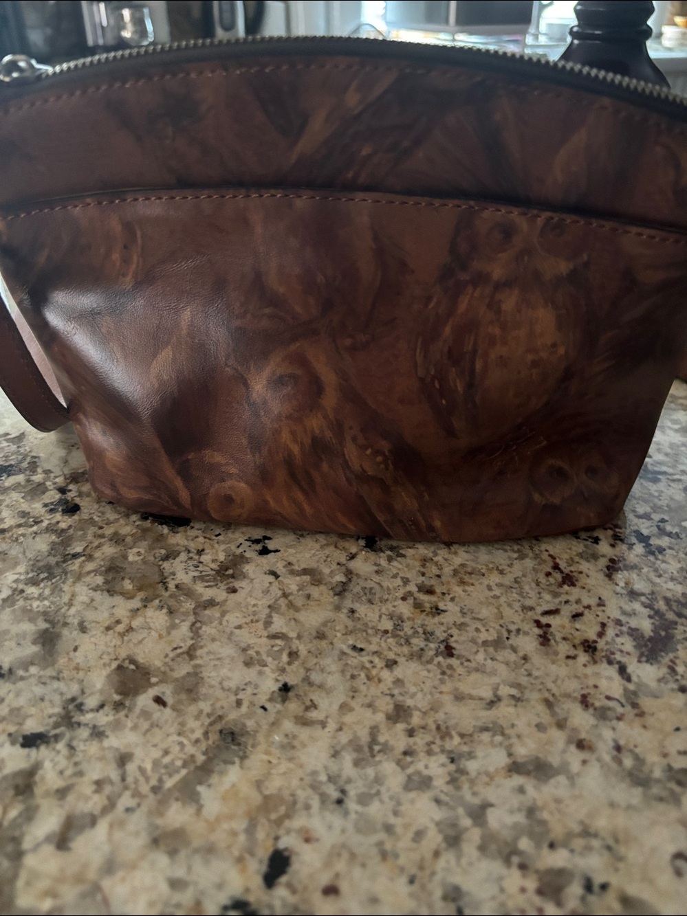 Patricia Nash Owl Print Crossbody